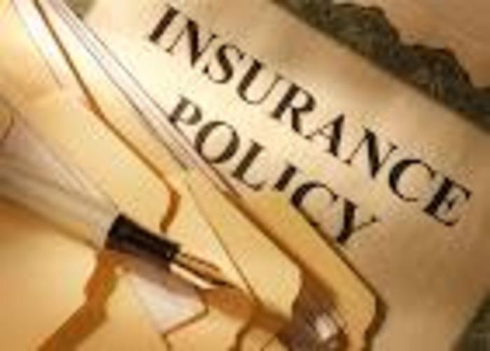 Luis Schaeffer Insurance Services: Service Image-3 Luis Schaeffer Insurance Services: Service Image-3